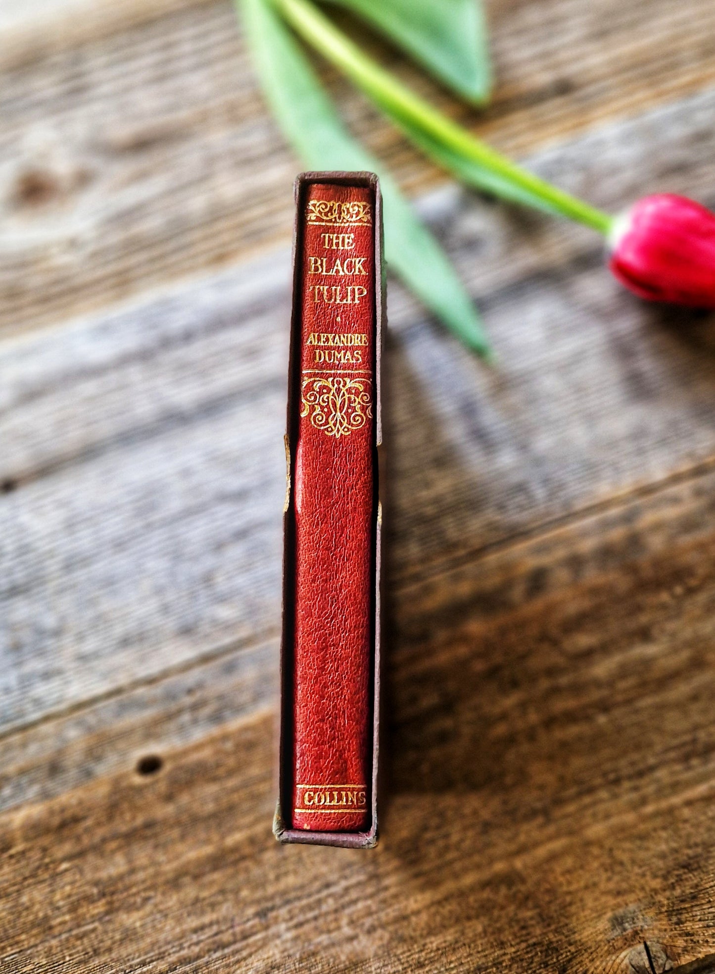 Pristine 1950s Edition “The Black Tulip” (Alexandre Dumas) with Original Slipcase