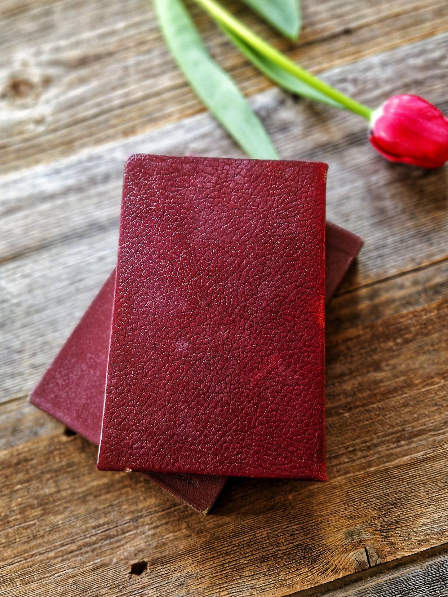 Pristine 1950s Edition “The Black Tulip” (Alexandre Dumas) with Original Slipcase