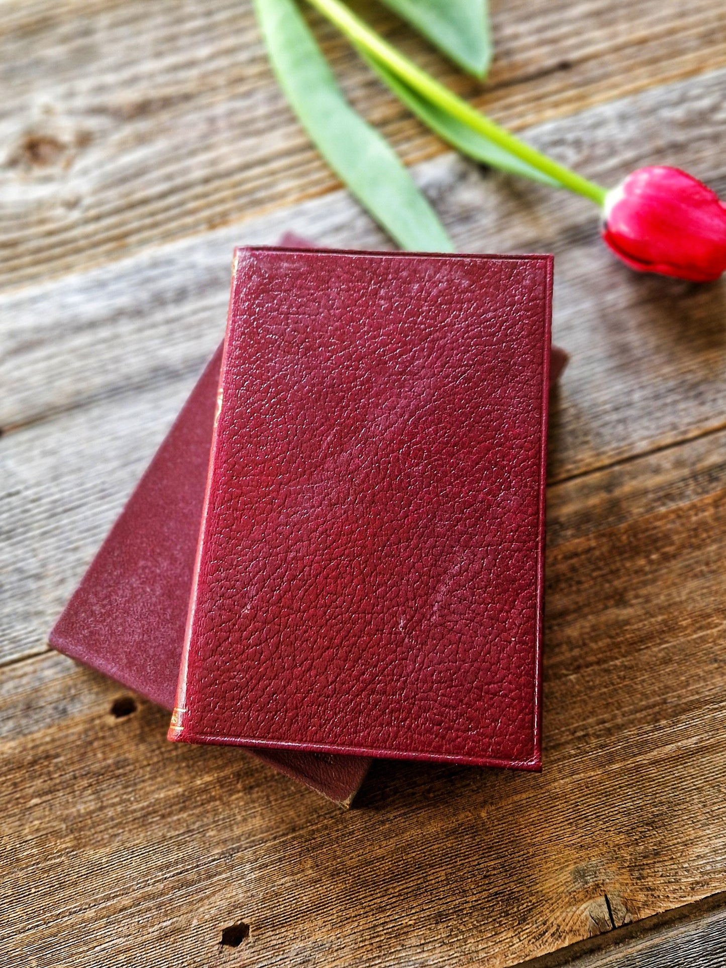 Pristine 1950s Edition “The Black Tulip” (Alexandre Dumas) with Original Slipcase