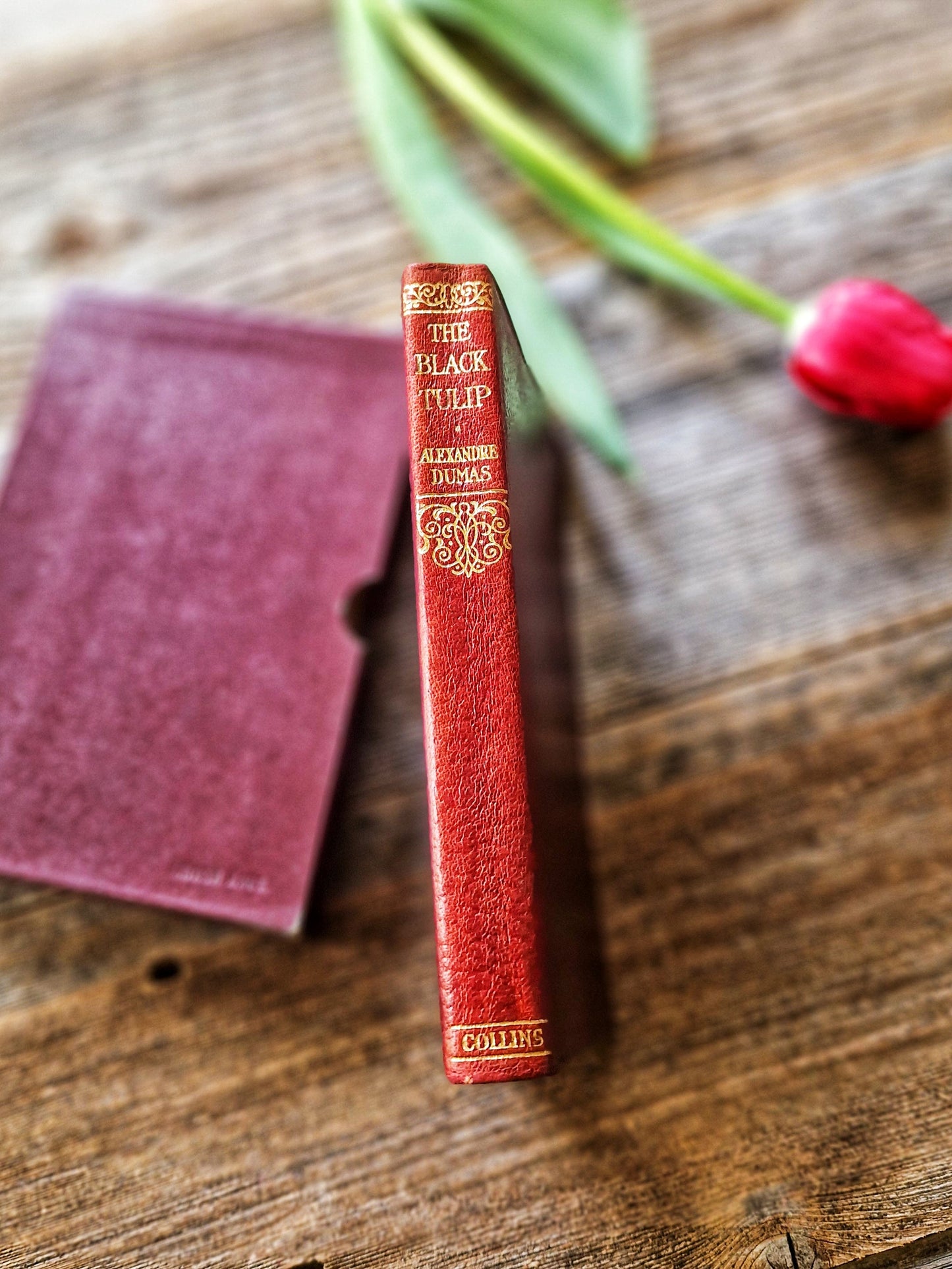 Pristine 1950s Edition “The Black Tulip” (Alexandre Dumas) with Original Slipcase