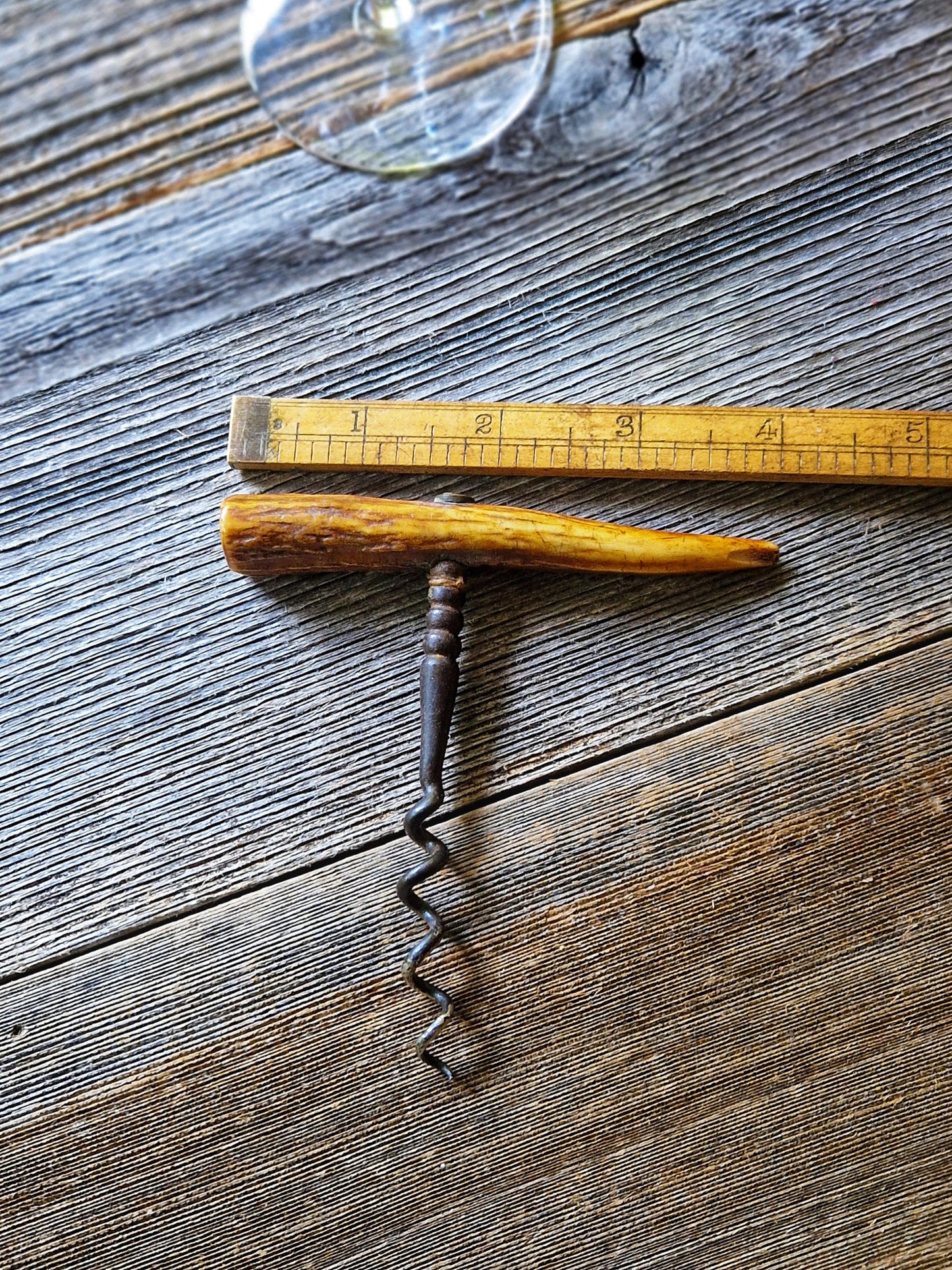 Striking Early 1900s Horn-Handled Corkscrew | Antique Barware