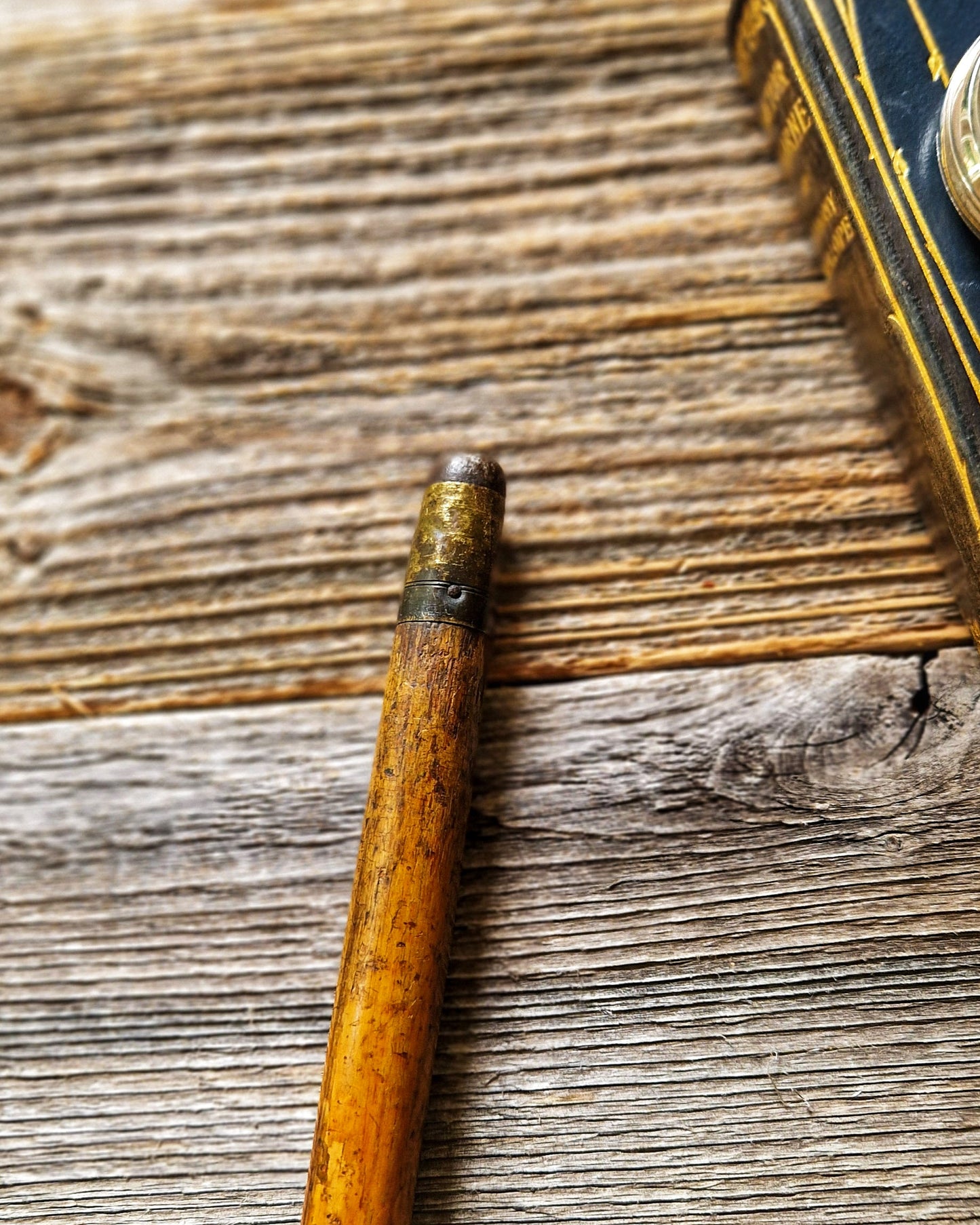 Edwardian Walking Cane with Silver-Plated Pommel Top and Malacca Shaft | Early 1900s Antique English Walking Stick