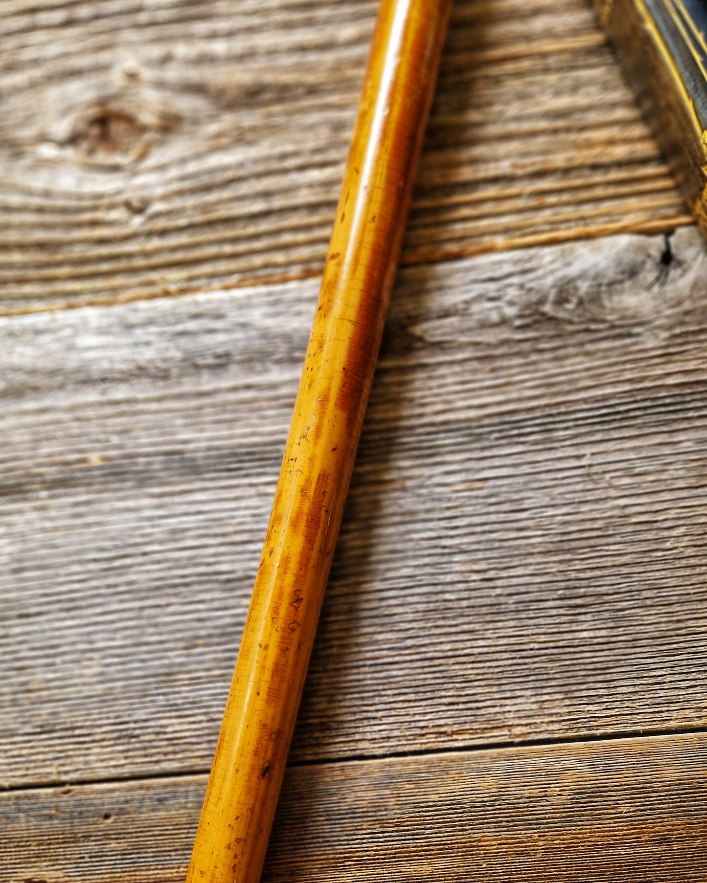 Edwardian Walking Cane with Silver-Plated Pommel Top and Malacca Shaft | Early 1900s Antique English Walking Stick