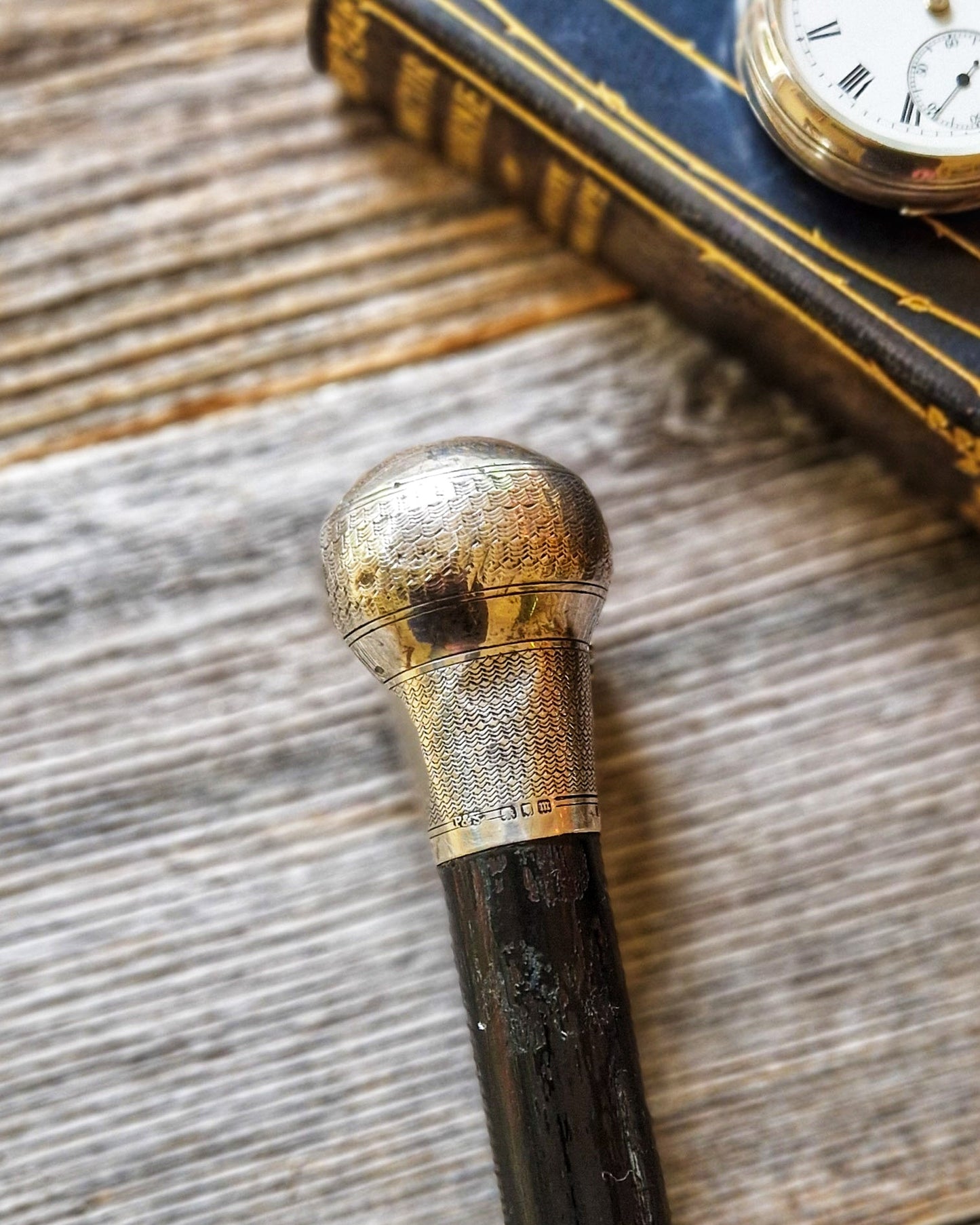 Antique Walking Cane with Sterling Silver Pommel Top and Ebonized Hardwood Shaft | London 1927–28