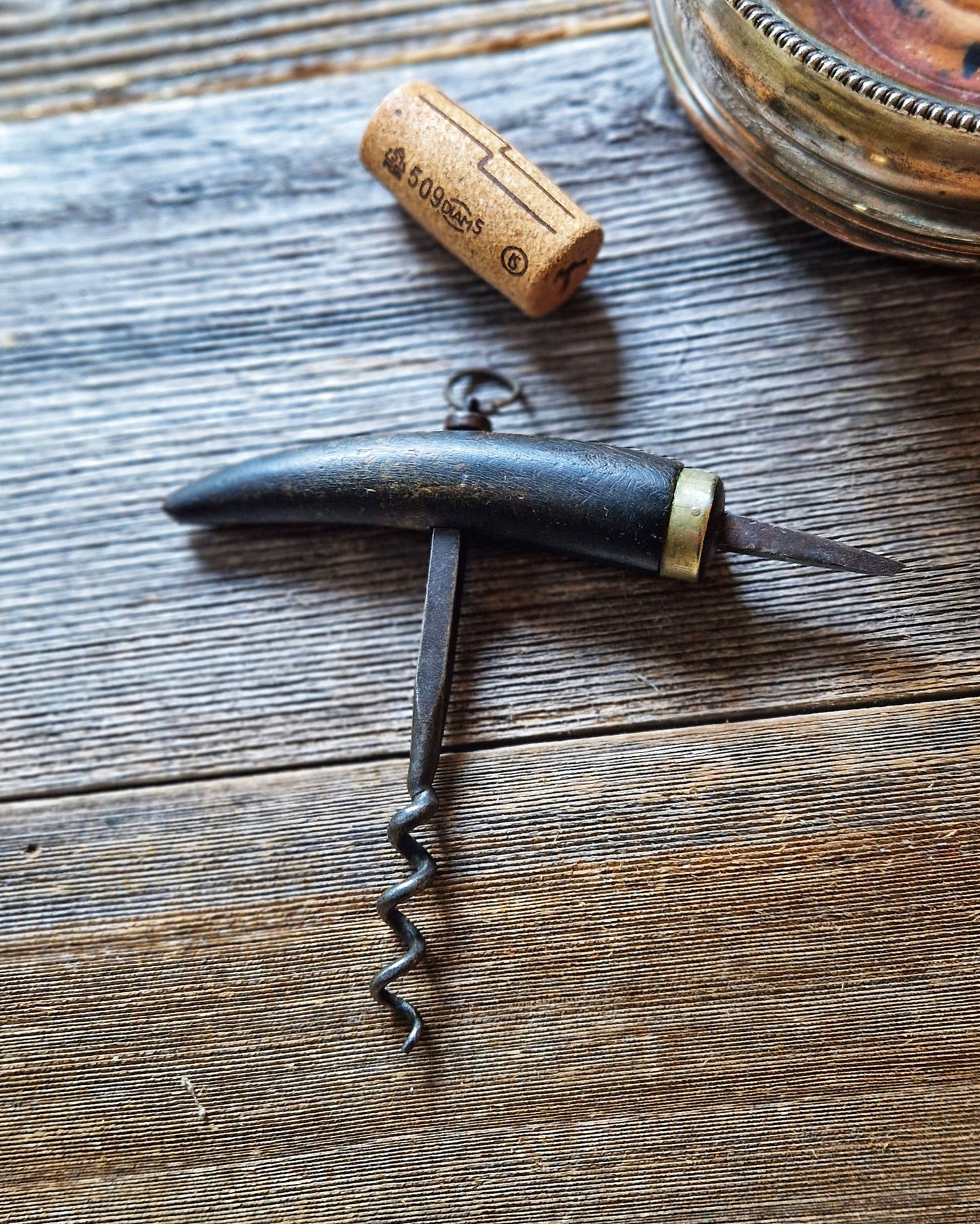 Victorian Horn-Handled Adelaide Corkscrew with Silver-Plated Collar | Gentleman’s Antique Wine Accessory