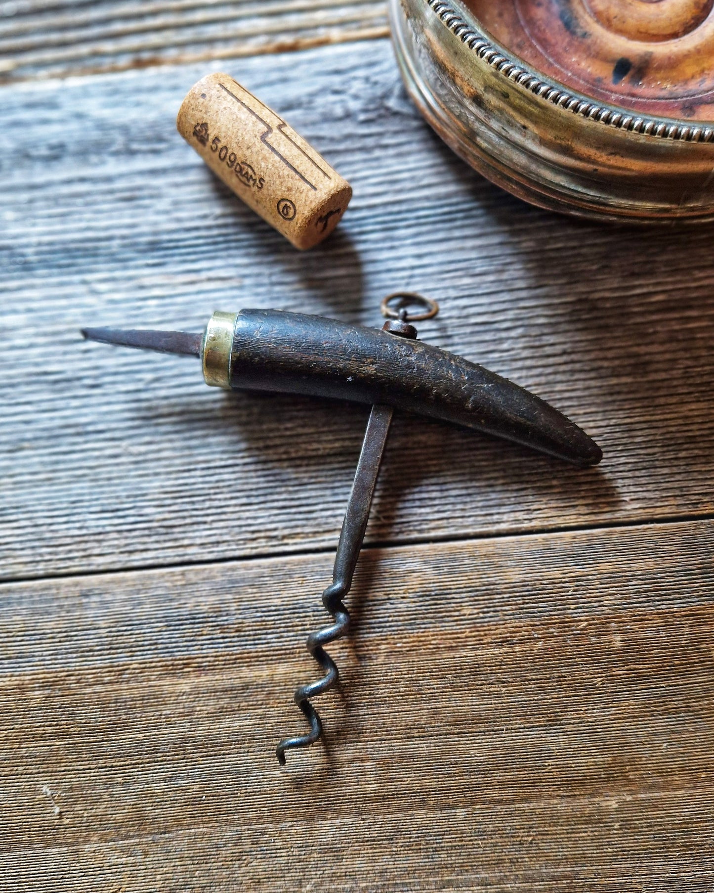 Victorian Horn-Handled Adelaide Corkscrew with Silver-Plated Collar | Gentleman’s Antique Wine Accessory