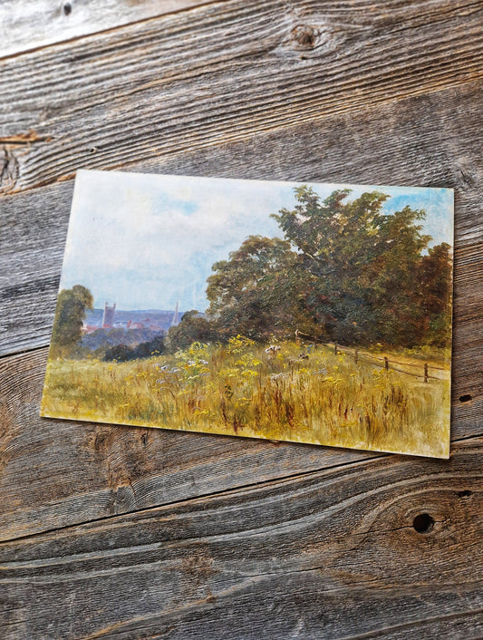 Delightful Victorian 8 x 10 Oil on Board Landscape Painting