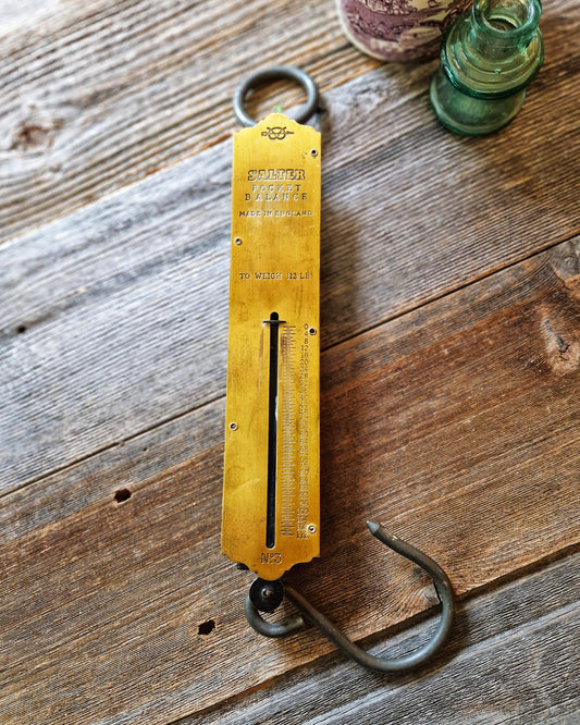 Sturdy Salter Pocket Balance Scale, 112 lb. No. 3 Model | Brass Face with Mint Green Backplate