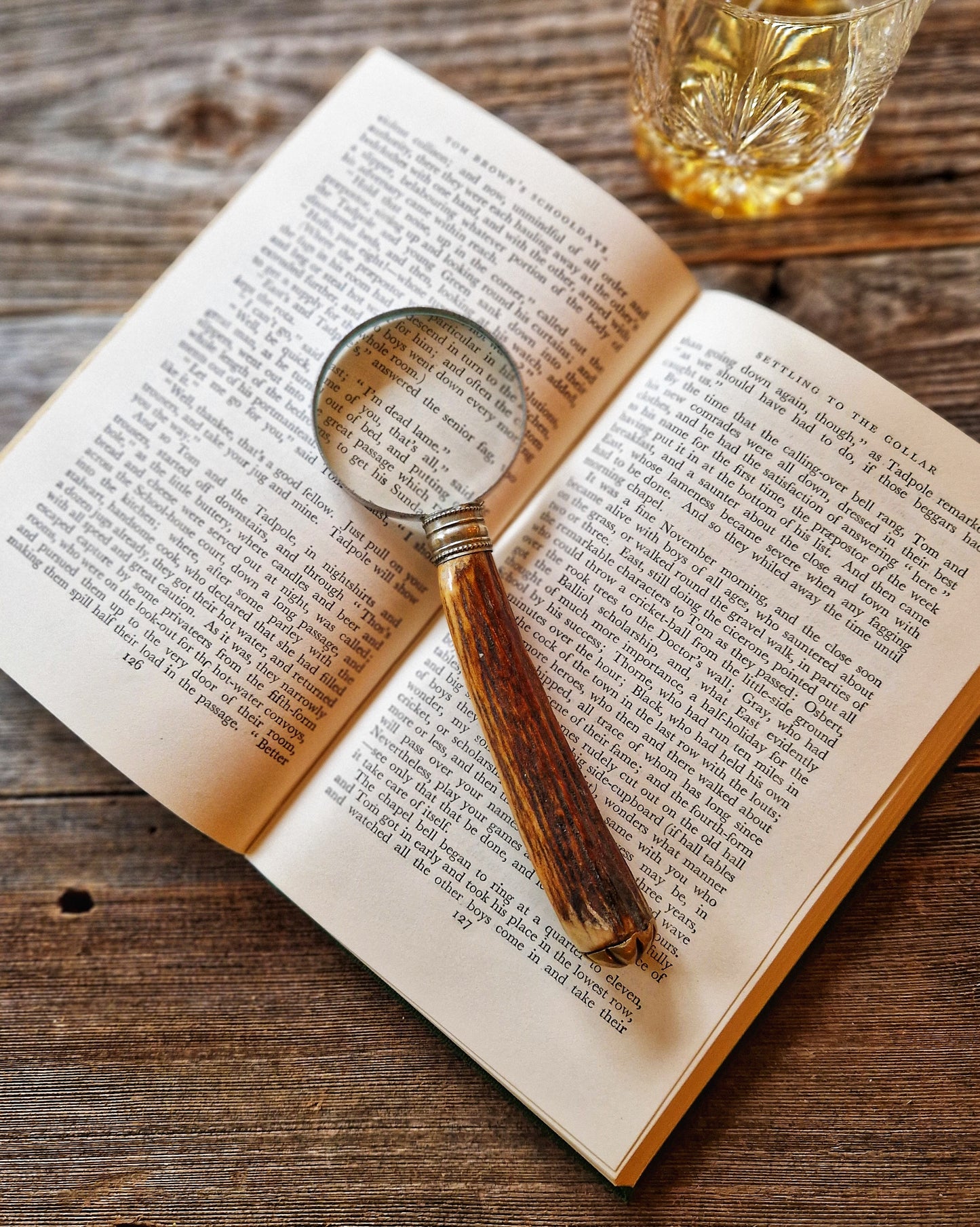 Horn-Handled Magnifying Glass | Vintage English Desk Magnifier with 2-inch Lens, Brass Pommel
