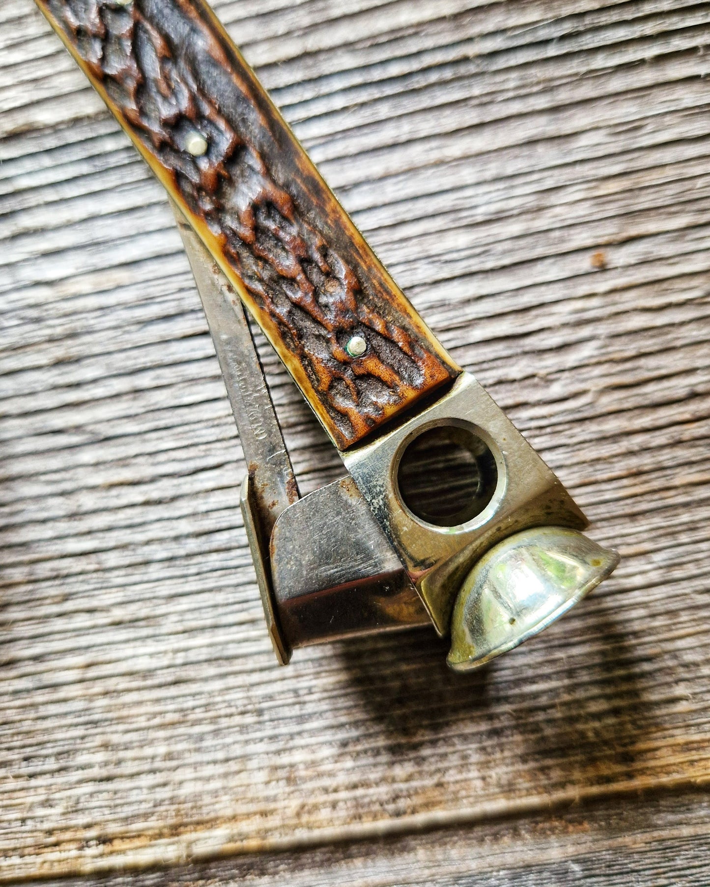 Vintage Horn-Handled Cigar Cutter c. 1925-1939 | M. Wachenheimer & Co., London