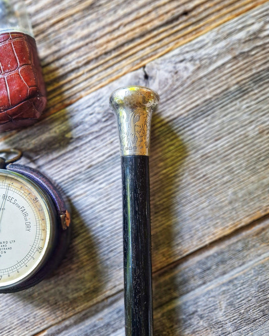 Antique Walking Cane with Sterling Silver Pommel Top and Ebonized Hardwood Shaft | Birmingham 1924-25 